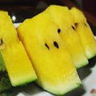10 seeds Watermelon Seeds Crimson Sweet Non gmo Heirloom