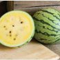 10 seeds Watermelon Seeds Crimson Sweet Non gmo Heirloom