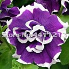 200 seeds Bonsai Petunia Garden Bonsai Moon Night Sky Double Purple Flowers