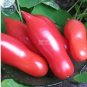 100 seeds Pink 'balloon' Tomato Organic Seeds
