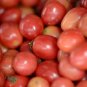 100 seeds Pink 'balloon' Tomato Organic Seeds