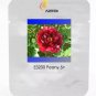 5 seeds Heirloom Dark Red Middle Peony Tree Flower Seeds