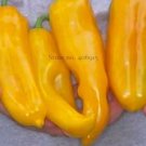 100 seeds Rare Heirloom Giant Marconi Sweet Peppers Vegetables