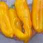 100 seeds Rare Heirloom Giant Marconi Sweet Peppers Vegetables