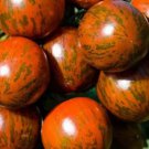 100 seeds Trailing Tumbling Tomato Seeds