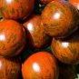 100 seeds Trailing Tumbling Tomato Seeds