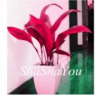 200 seeds Hosta Seeds - 2 Colors Available