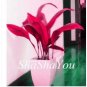 200 seeds Hosta Seeds - 2 Colors Available