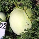 20 seeds Watermelon Dark Red inside White Skin Melon Seeds