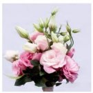 100 seeds Eustoma Grandiflorum Seeds Water Pink Double Flowers Hybrid