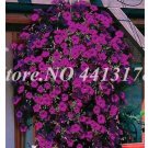 200 seeds Bonsai Hanging Petunia Garden Petunia Mixed Color