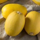 30 seeds Heirloom Spaghetti Squash Vegetable Seeds