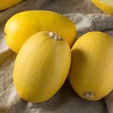 30 seeds Heirloom Spaghetti Squash Vegetable Seeds