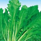 50 seeds Green Potherb Mustard Organic Chinese Sauerkraut Vegetable Seeds