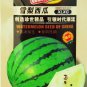 10 seeds White Watermelon Green Dark Green Skin White Inside Water Melon