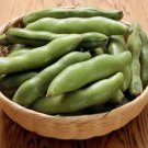 100 seeds Green White Giant Broad Bean Seeds