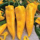 150 seeds Rare Colorful OX Horn Sweet Pepper F1 Edible Vegetable