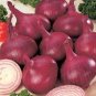 1000 seeds Onion Red Burgundy Organic Vegetable