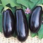 200 seeds Black Eggplant, Professional Pack