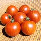 300 seeds Red Tomato with Yellow Strip F1 Seeds