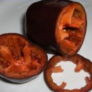 50 seeds Rare Sweet Chocolate Pepper F1 Seeds Professional Pack