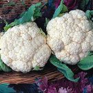 50 seeds Heirloom Natural Health White Broccoli Cauliflower
