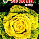 10 seeds Heirloom Green Yellow Chinese Cabbage Organic Seeds