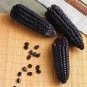 12 Seeds Black Sweet Waxy Corn Fruits