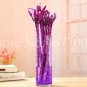 10 seeds Rainbow Lucky Bamboo Bonsai Small Potted Plants Purify Dracaena Plantas