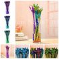 10 seeds Rainbow Lucky Bamboo Bonsai Small Potted Plants Purify Dracaena Plantas