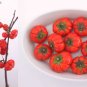 30 Seeds Solnum hybrida Red Ornamental Eggplant