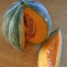 20 seeds Rare Heirloom Small Emerald Gem Melon Cucumis Melo Seeds