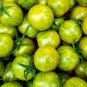 200 seeds Green Cherry Tomato Seeds