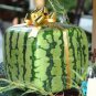 50 seeds Big Red Sweet Square Watermelon Heirloom