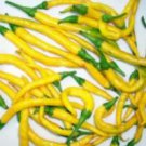 200 seeds Hybrid Yellow & Orange Long Chili Pepper