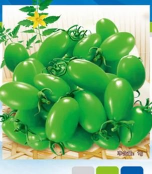 300 seeds Green Cherry Tomato 'Saintess' Organic Seeds