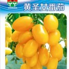 300 seeds Bright Yellow Cherry Tomato 'Saintess' Organic Seeds
