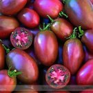 100 seeds Ukrainian Purple Tomato Seeds