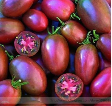 100 seeds Ukrainian Purple Tomato Seeds
