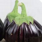 100 seeds Rarest Heirloom 'Emperor' Black Pear Eggplant Vegetable