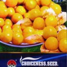 250 seeds Heirloom Physalis alkekengi Yellow Chinese Lantern Bladder Cherry Big Fruit Seeds