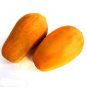 8 seeds Fresh Organic Pawpaw Seeds Giant Red Lady Exotic Carica Papaya
