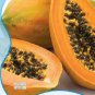 8 seeds Fresh Organic Pawpaw Seeds Giant Red Lady Exotic Carica Papaya