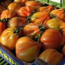 100 seeds Rare Heirloom 'Foshou' Big Yellow Tomato