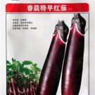 8 seeds Sichuan Super Red Early-maturing Long Eggplant F1 Seeds