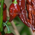 10 seeds Bhut jolokia Indian Dark Red Naga Jolokia Pepper