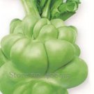 30 seeds Heirloom Organic Green Leaf Mustard Brassica juncea Vegetables