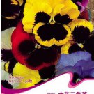 50 seeds Mix Giant Pansy Seeds VIOLA WITTROCKIANA Long Blooming Flowers