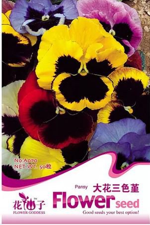 50 seeds Mix Giant Pansy Seeds VIOLA WITTROCKIANA Long Blooming Flowers