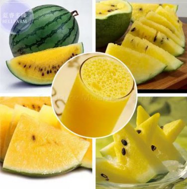 40 seeds Bright Yellow Watermelon Seeds